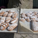 Foto: Manuela Horny, www.picts.at Foto: Manuela Horny, www.picts.at