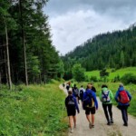 © Wolfgang Jelinek © Wolfgang Jelinek