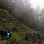 © Wolfgang Jelinek © Wolfgang Jelinek