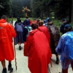 © Wolfgang Jelinek © Wolfgang Jelinek